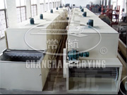 DG Series General Mesh-belt Dryer